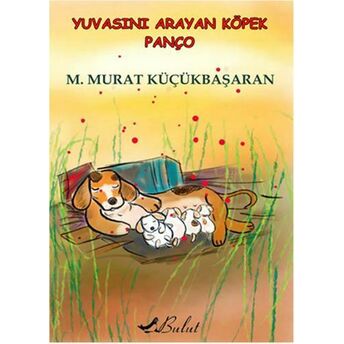 Yuvasını Arayan Köpek Panço M. Murat Küçükbaşaran