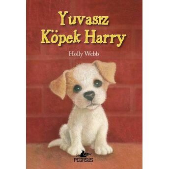 Yuvasız Köpek Harry Holly Webb