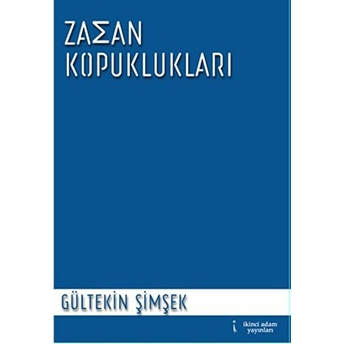 Zaman Kopuklukları