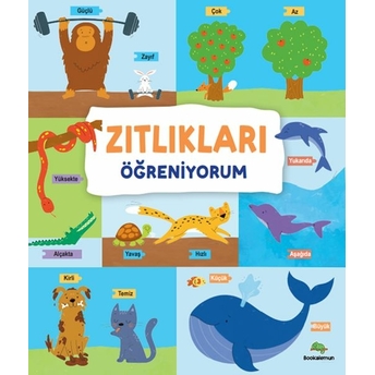 Zıtlıkları Öğreniyorum – Ciltli Kollektif