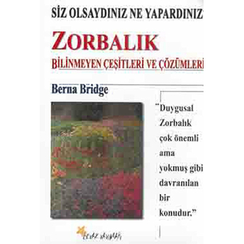 Zorbalık Bilinmeyen Çeşitleri Ve Çözümleri - Berna Bridge